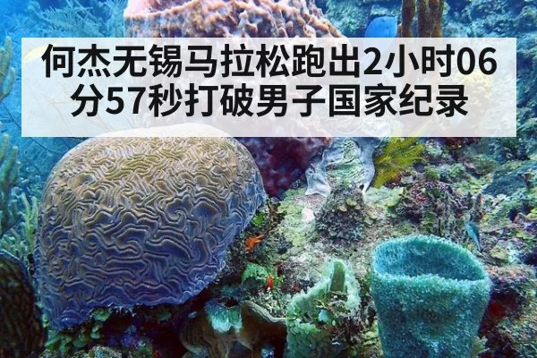 何杰无锡马拉松跑出2小时06分57秒打破男子国家纪录